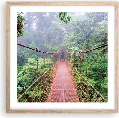 Produktbild von Gerahmtes Poster - Rahmen in heller Eiche - Brücke ausgesetzt Costa Rica - 50x50 cm - Wand Bild - Wanddeko - Wandbilder - Kunstposter - Wandposter - Bilderrahmen - Bilder - P2NAC50x50-4923