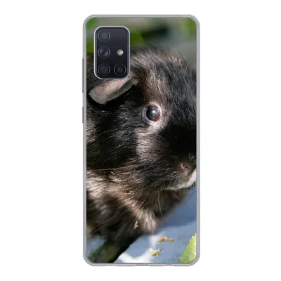Produktbild von MuchoWow® Handyhülle Schutzhülle Hülle für Samsung Galaxy A51 Meerschweinchen im Garten Silikon Softcase Handy Hülle - Schutzabdeckung
