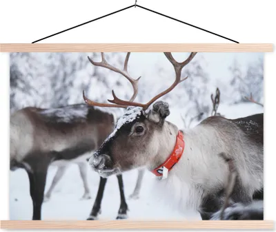 Produktbild von MuchoWow® Textilposter Ein Rentier vor einem unscharfen Schneehintergrund 120x80 cm mit holzfarbenen Rahmen - Aufhängeset