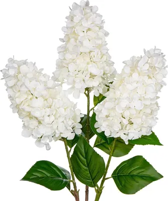 Produktbild von Künstliche Hortensien Blumen 3er Set Rispenhortensie, 73CM Weiß, Kunstblumen Dekoblumen