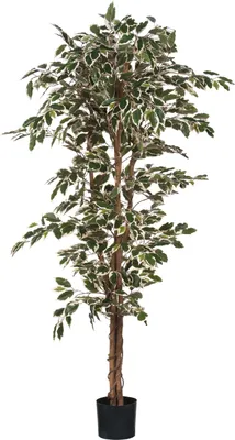 Image de Mica Decorations Ficus plante artificielle - H170 x Ø80 cm - multicolore