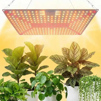 A grow light illuminates several potted houseplants.