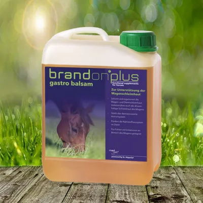 Image de Brandon® plus baume gastro - 2,5 litres