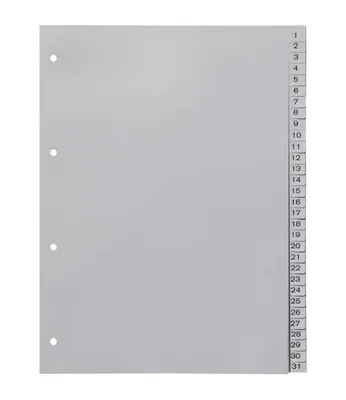 Produktbild von europrotokoll Ordnerregister 1-31, neutral, ohne Deckblatt, 31-teilig, DIN A4, Register aus PP, strapazierfähige Trennblätter für Ordner, lichtgrau