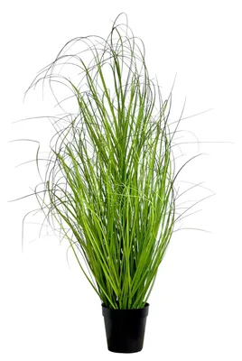 Produktbild von Kunstpflanze Gras, GRASBUSCH IM TOPF. Ca. 90cm. OHNE Übertopf.