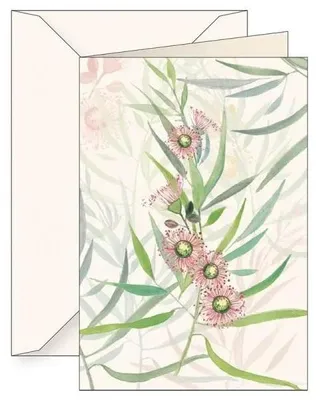Produktbild von Sammelblock B6 + Umschlag 6123 Kamaldulischer Eukalyptus – Tassotti