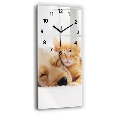 Produktbild von Wallfluent Wanduhr – Stilles Quarzuhrwerk - Uhr Dekoration Wohnzimmer Schlafzimmer Küche - Zifferblatt - schwarze Zeiger - 30x60 cm - Schläfrige Katze und Hund