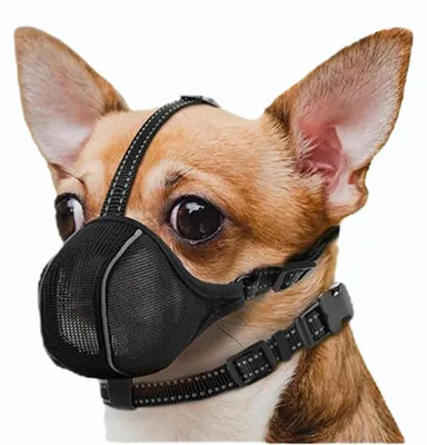 Produktbild von Maulkorb für Hunde, Netz, atmungsaktiv, verstellbar, XS