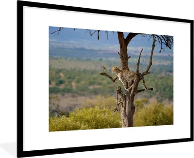Produktbild von MuchoWow® MuchoWow® Gerahmtes Poster Leopard - Baum - Tier 90x60 cm - Poster mit zchwarzem Bilderrahmen - Wanddekoration - Fotos