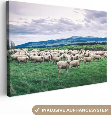 Produktbild von OneMillionCanvasses® - Leinwandbilder - 150x100 cm, Schafe - Natur - Gras, Wandbilder Kunstdruck Wanddekoration