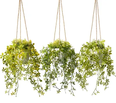 Image de 3 plantes artificielles blanches, de 33 cm de hauteur, présentées dans des pots