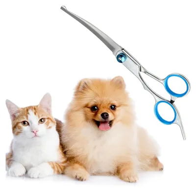 Produktbild von Hundeschere, gebogene Schere für die Tierpflege, 17 cm, geeignet zum Schneiden von Hunde- und Katzenhaaren