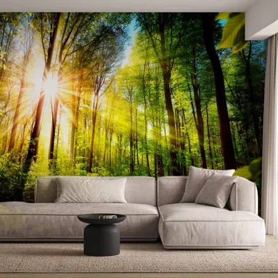 Produktbild von Vlies Fototapete - Forest Hideout 100x70 cm Landschaften b-B-0248-a-a