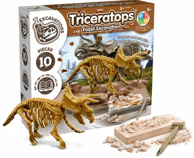 Immagine prodotto di Science4you - Set di scavo del Triceratopo - Kit di archeologia per bambini con 10 pezzi, per scavare il vostro dinosauro giocattolo - Ideale come kit di esperimenti, regalo e gioco a tema dinosauri per bambini dai +6 anni
