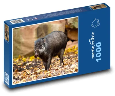 Produktbild von Puzzle 1000 Wildtiere im Wald - martinpuzzle