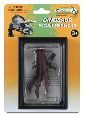 Image de Coffret COLLECTA - Préhistoire