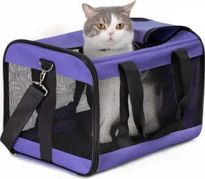 Produktbild von hundebox Faltbar Hundetransportbox Katzentransportbox Katzenbox Transportbox katzentasche für Hund, Katzen, Airline Zugelassen, Reisefreundliche Transporttasche