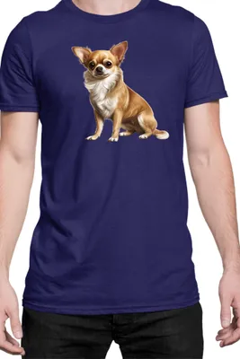 Immagine prodotto di Maglietta da uomo Dogs Breeds Chihuahua Dog Breed 006, Man M , Bleu foncé