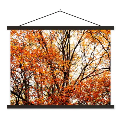 Produktbild von MuchoWow® Textilposter Wald - Herbst - Jahreszeiten 40x30 cm mit schwarzem Rahmen - Dekorationen