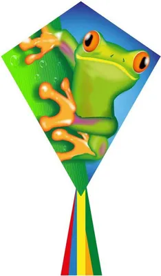 Produktbild von Kinderdrachen HQ Eddy 70 Froggy 102121 Grün 58 x 70 cm + 250 cm staart