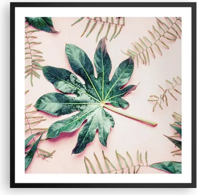 Produktbild von Gerahmtes Poster - Schwarzer Rahmen - Blatt Tropisch Palme - 60x60 cm - Wand Bild - Wanddeko - Wandbilder - Kunstposter - Wandposter - Bilderrahmen - Bilder - Kunstdruck - Wandbild - P2BAC60x60-4314