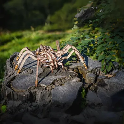 Produktbild von Spinne Mechanisch aus Holz
