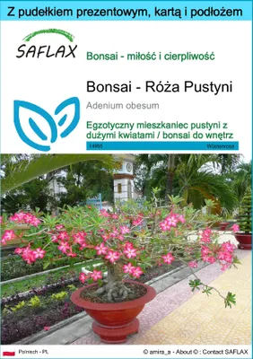 Zdjęcie produktu dla SAFLAX - Zestaw prezentowy - Bonsai - Róża Pustyni - 8 Nasiona - Z pudełkiem upominkowym, etykietą wysyłkową, kartą podarunkową i podłożem uprawowym - Adenium obesum