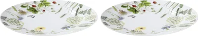 Produktbild von Porzellan-Teller - Gilde 2 x Speiseteller / Essteller Wild Flowers - Geschirr Küche Haushalt
