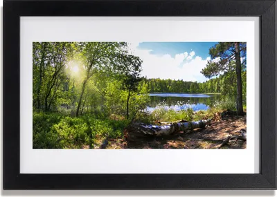 Produktbild von Bild 30x20 MDF-Rahmen Wandkunst Lake Forest Bäume Natur