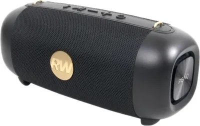 Produktbild von PEAQ PPA 405-RW Robbie Williams Edition Schwarzer kabelloser Lautsprecher