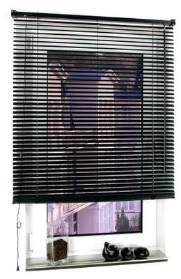 Produktbild von Jalousie aus Kunststoff, 160 cm Länge, Kunststoff-Jalousie schwarz B 110 cm
