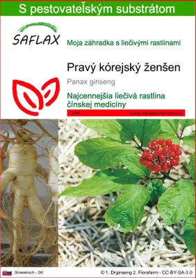 Obrázok produktu pre SAFLAX - Pravý kórejský ženšen - Panax ginseng - 10 Semená - S pestovateľským substrátom bez klíčkov