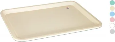 Obrázek produktu pro podnos 46x35cm,MIX barev_EXTPLASTIMEX