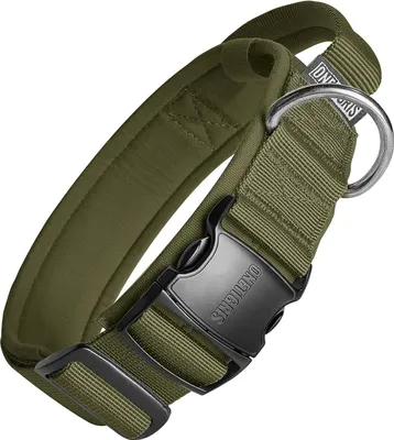 Produktbild von Hundenhalsband mit metallischer Schnalle für Hunde