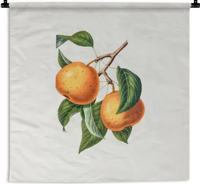 Produktbild von MuchoWow® Wandteppich Wandbehang Lebensmittel - Obst - Jahrgang 120x120 cm Tapisserie Dekoration Wandtuch - Modern - Baumwollgewebe