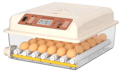 Brutmaschine 36 Eier, vollautomatisch, Temperaturregelung, Eierdrehung