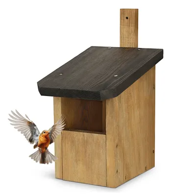 Produktbild von Waldfunk Nistkasten Halbhöhle für Rotkehlchen & Co. | Wetterfest & Massives Holz | Vogelhaus für Nischenbrüter | Einfache Aufhängung & Reinigung
