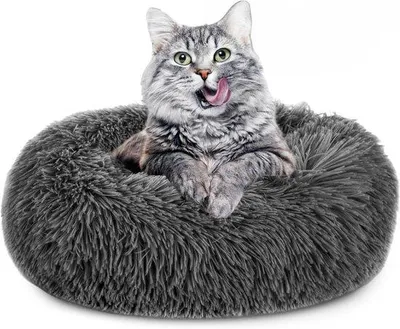 Image de Lit pour chat de 60 cm, gris foncé, pour se détendre à l'intérieur
