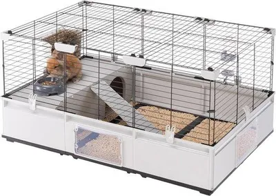Image de Petit enclos pour animaux en bois