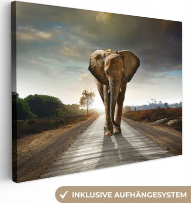 Obrázek produktu pro OneMillionCanvasses® - Obraz na plátně - Slon - Ulice - Zvířata - Západ slunce - Krajina, nástěnná malba, nástěnné dekorace obrazy obývací pokoj, 120x90cm