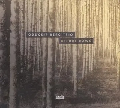 Produktbild von Before Dawn