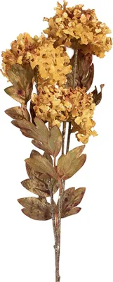 Immagine prodotto di Fiore artificiale Clayre & Eef 10x8x76 cm Plastica gialla