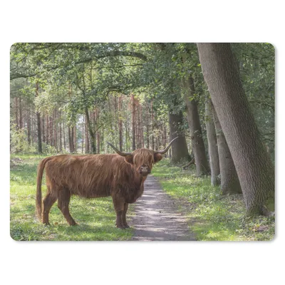 Produktbild von MuchoWow® Mauspad Mousepad Schottischer Highlander - Kröte - Baum 23x19 cm - Mousepads - Maus Mat - Pad - Mausunterlage - Schreibtischunterlage - Mauspad