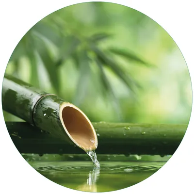 Produktbild von Wallario Premium Glasbild, freischwebende Optik, kräftige Farben, rund 50cm Durchmesser, Motiv Bambusquelle  Bambusrohr mit Wasser