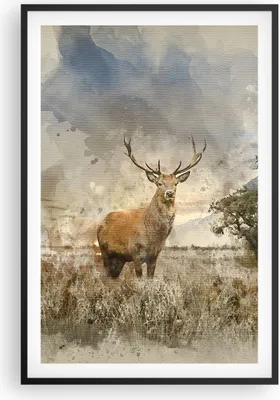 Produktbild von Gerahmtes Poster - Schwarzer Rahmen - rotwild natur - 61x91,5 cm - Wand Bild - Wanddeko - Wandbilder - Kunstposter - Wandposter - Bilderrahmen - Bilder - Kunstdruck - Wandbild - P2BPA61x91-3465