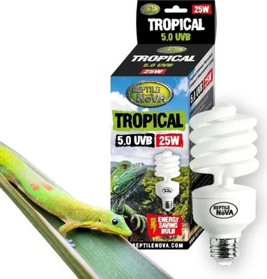 Immagine prodotto di REPTILE NOVA 5.0 UVB 25W - Lampada fluorescente per rettili tropicali | UVA + UVB