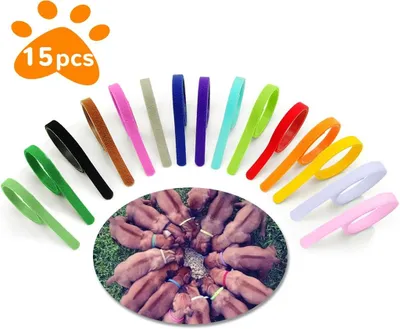 A collection of colorful puppy collars arranged in a semi-circle around a group of puppies eating from a bowl.
