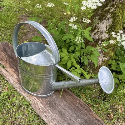 Produktbild von Gießkanne aus Altzink, L, Silber, Deko-Kanne