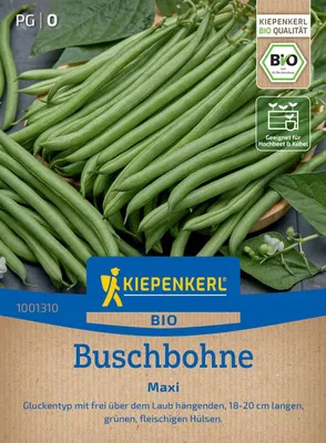 Produktbild von Kiepenkerl Buschbohnensamen Maxi Phaseolus vulgaris nanus 5 - 7 m²