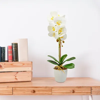 Produktbild von Künstliche Pflanze - Heimdekoration - Orchidee - Weiß - 48 cm 1 Stück [11901B]
